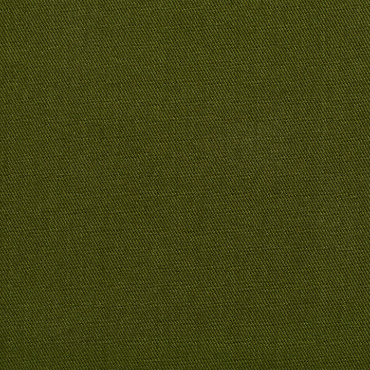 2255 Fern by Charlotte Fabric Cotton Twill 100% Cotton, 11oz. Brazil Exceeds 36,000 Wyzenbeek Rubs (Heavy Duty) </p><p>Repeat: 58 Inches - Fabric Carolina -