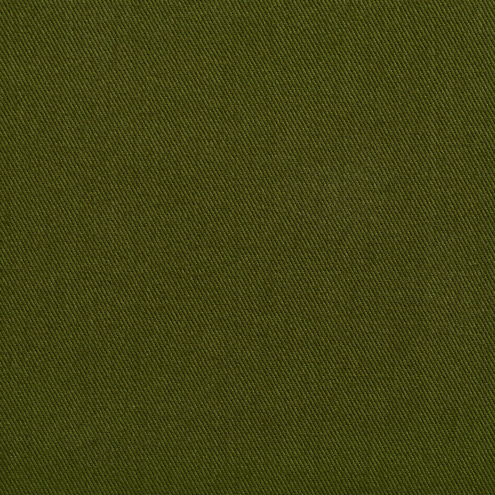 2255 Fern by Charlotte Fabric Cotton Twill 11oz. 100% Woven Cotton Brazil Exceeds 36,000 Wyzenbeek Rubs (Heavy Duty) No Repeat 58 Inches - Fabric Carolina -