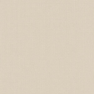 Sargent Silk Taffeta Snow 22610 by Schumacher Fabric