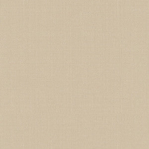 Sargent Silk Taffeta Alabaster 22611 by Schumacher Fabric