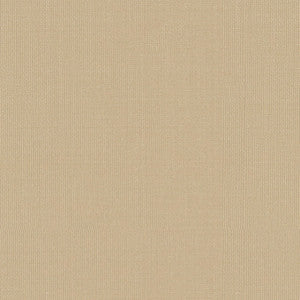 Sargent Silk Taffeta Vanilla 22612 by Schumacher Fabric