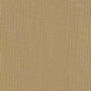 Sargent Silk Taffeta Bamboo 22614 by Schumacher Fabric