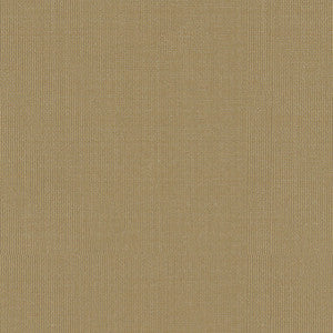 Sargent Silk Taffeta Maple Sugar 22615 by Schumacher Fabric