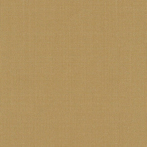 Sargent Silk Taffeta Straw 22616 by Schumacher Fabric