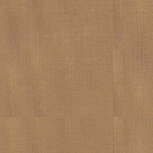 Sargent Silk Taffeta Toast 22619 by Schumacher Fabric