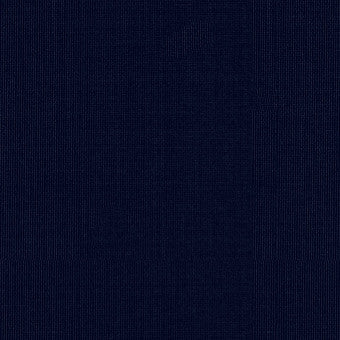 Sargent Silk Taffeta Navy 22643 by Schumacher Fabric COLLECTION-NAME-TBA-22610 100% Silk Martindale 2,000 Horizontal: - and Vertical: - 54 - Fabric Carolina -