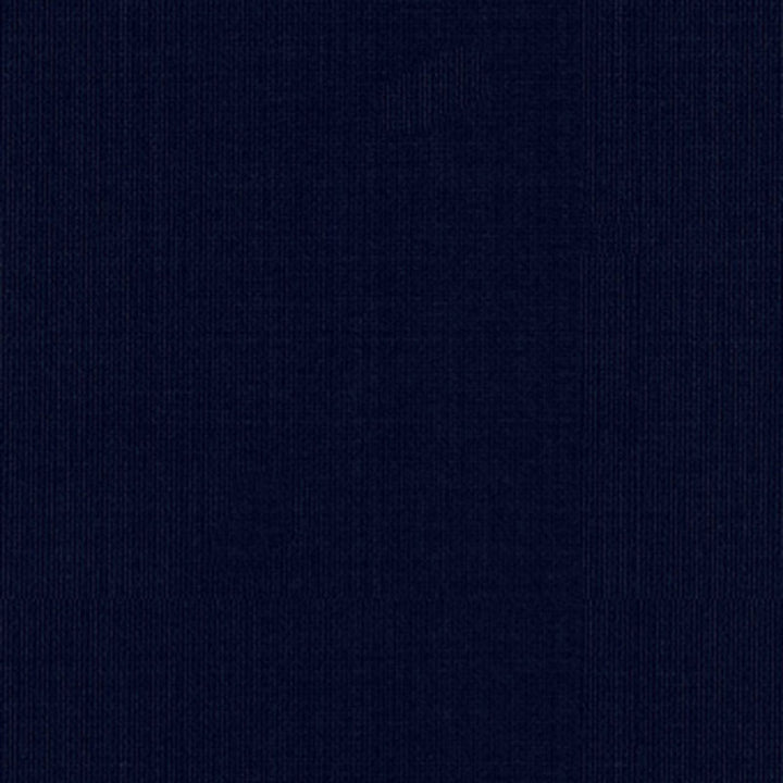 Sargent Silk Taffeta Navy 22643 by Schumacher Fabric SILK TAFFETAS See Sample INDIA TO BE DETERMINED </p><p>Repeat: Horizontal: - and Vertical: - 54" WIDE (137CM) - Fabric Carolina -
