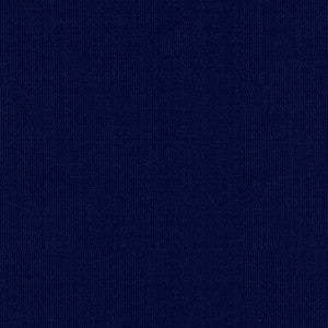Sargent Silk Taffeta Midnight 22644 by Schumacher Fabric