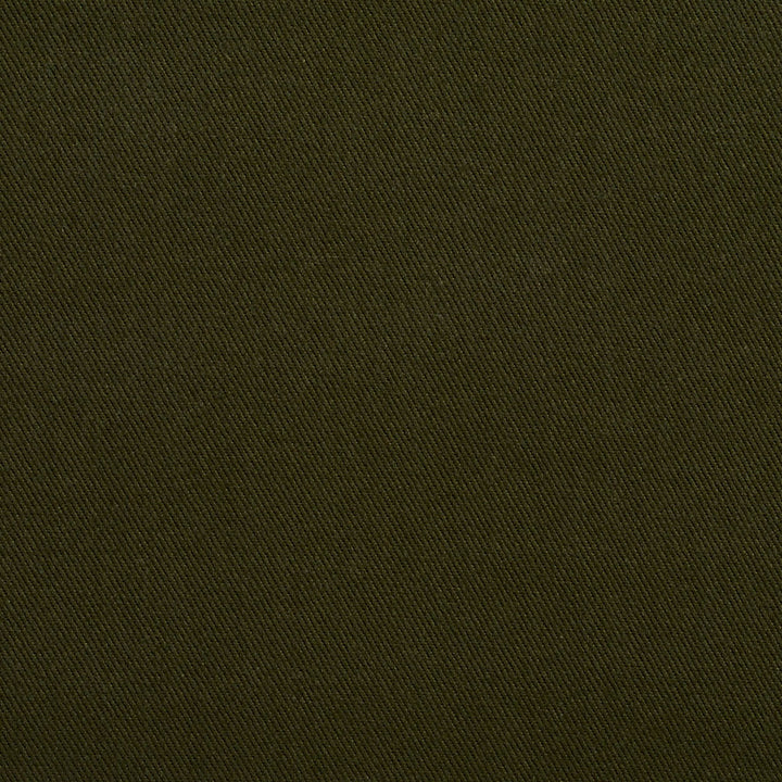 2264 Spruce by Charlotte Fabric Cotton Twill 11oz. 100% Woven Cotton Brazil Exceeds 36,000 Wyzenbeek Rubs (Heavy Duty) No Repeat 58 Inches - Fabric Carolina -