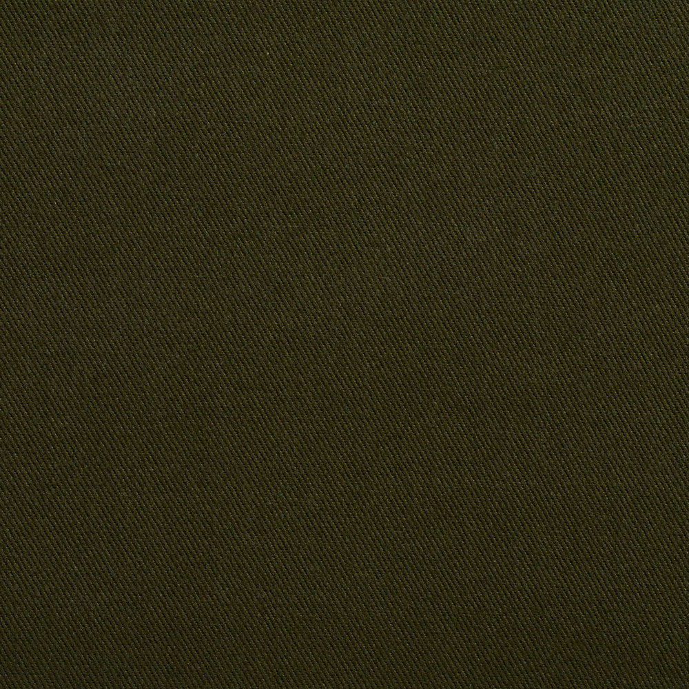 2264 Spruce by Charlotte Fabric Cotton Twill 11oz. 100% Woven Cotton Brazil Exceeds 36,000 Wyzenbeek Rubs (Heavy Duty) No Repeat 58 Inches - Fabric Carolina -