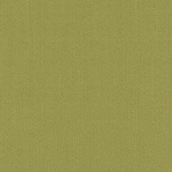Sargent Silk Taffeta Linden 22652 by Schumacher Fabric COLLECTION-NAME-TBA-22610 100% Silk Martindale 2,000 Horizontal: - and Vertical: - 54 - Fabric Carolina -