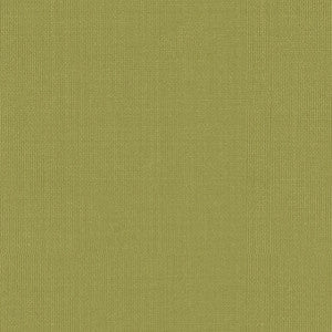 Sargent Silk Taffeta Linden 22652 by Schumacher Fabric