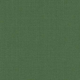 Sargent Silk Taffeta Grass 22654 by Schumacher Fabric COLLECTION-NAME-TBA-22610 100% Silk Martindale 2,000 Horizontal: - and Vertical: - 54 - Fabric Carolina -