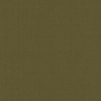 Sargent Silk Taffeta Olive 22656 by Schumacher Fabric COLLECTION-NAME-TBA-22610 100% Silk Martindale 2,000 Horizontal: - and Vertical: - 54 - Fabric Carolina -