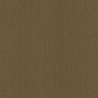 Sargent Silk Taffeta Lichen 22657 by Schumacher Fabric COLLECTION-NAME-TBA-22610 100% Silk Martindale 2,000 Horizontal: - and Vertical: - 54 - Fabric Carolina -