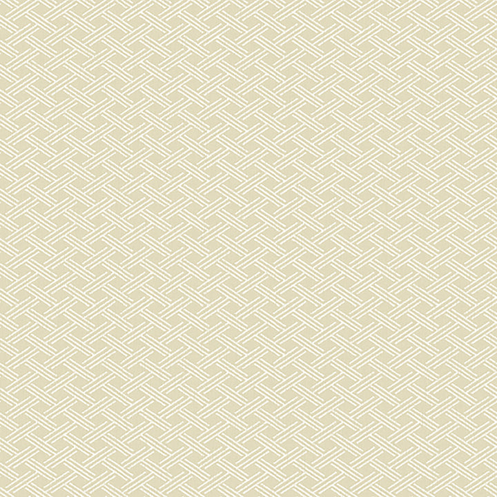 2265 32W7931 by JF Wallcovering ABUNDANCE WALLCOVERINGS 100% Wallpaper United States Horizontal: and Vertical: 1 20.5 inches, 11 yards per roll. - Fabric Carolina -