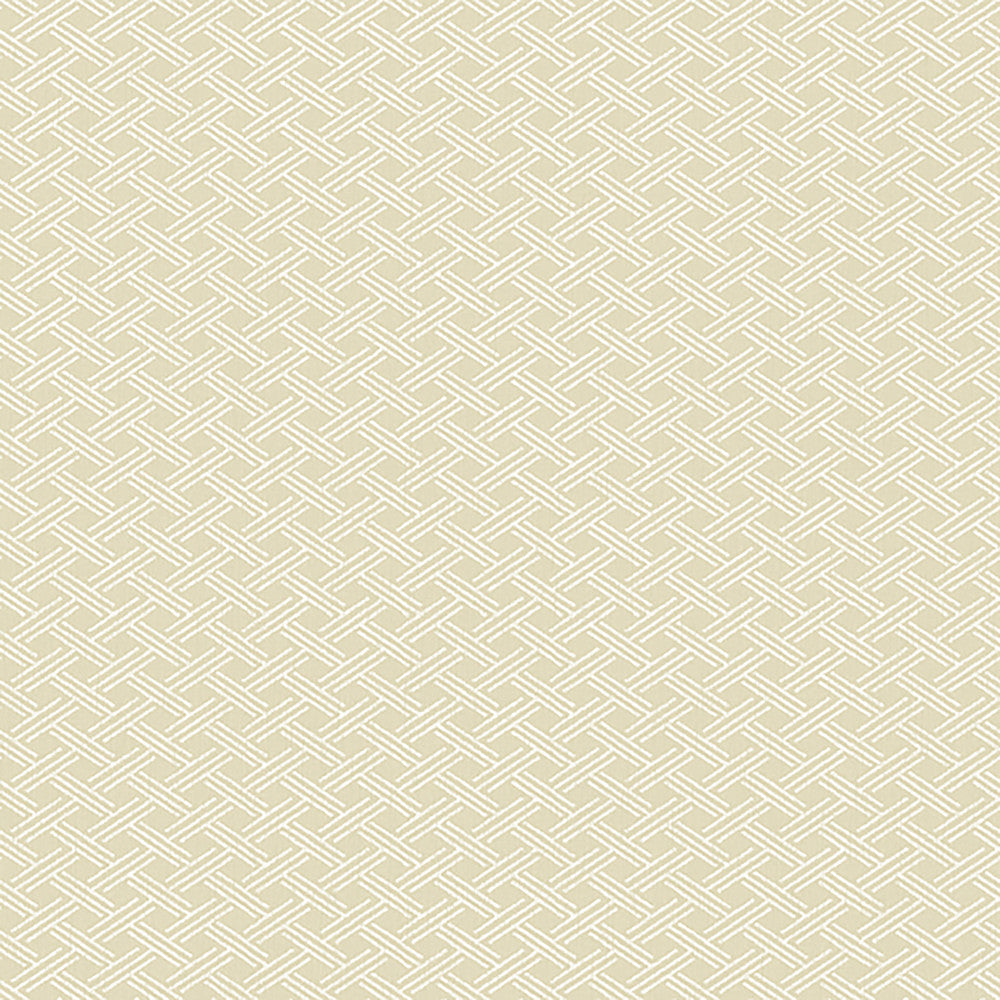 2265 32W7931 by JF Wallcovering ABUNDANCE WALLCOVERINGS 100% Wallpaper United States Horizontal: and Vertical: 1 20.5 - Fabric Carolina -