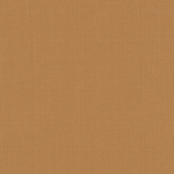 Sargent Silk Taffeta Honey 22662 by Schumacher Fabric COLLECTION-NAME-TBA-22610 100% Silk Martindale 2,000 Horizontal: - and Vertical: - 54 - Fabric Carolina -
