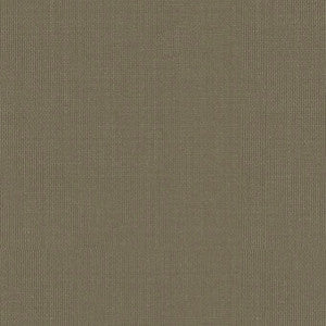 Sargent Silk Taffeta Pebble 22676 by Schumacher Fabric