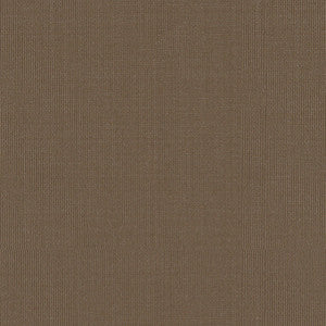Sargent Silk Taffeta Pewter 22677 by Schumacher Fabric