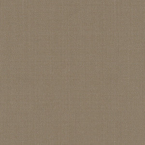 Sargent Silk Taffeta Smoke 22678 by Schumacher Fabric