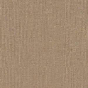 Sargent Silk Taffeta Fog 22679 by Schumacher Fabric