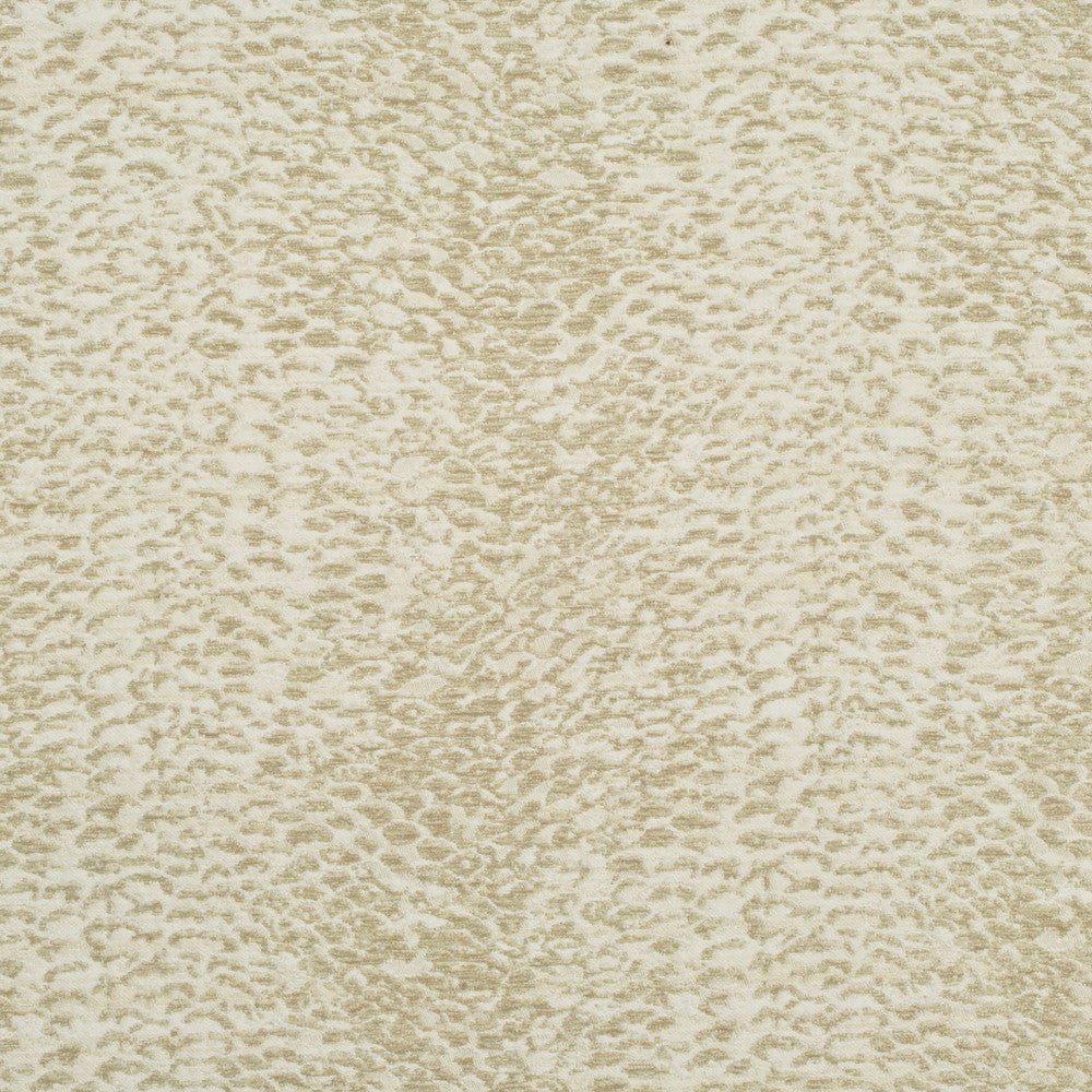 Wild Cream 6 by P Kaufmann Fabrics Fabric