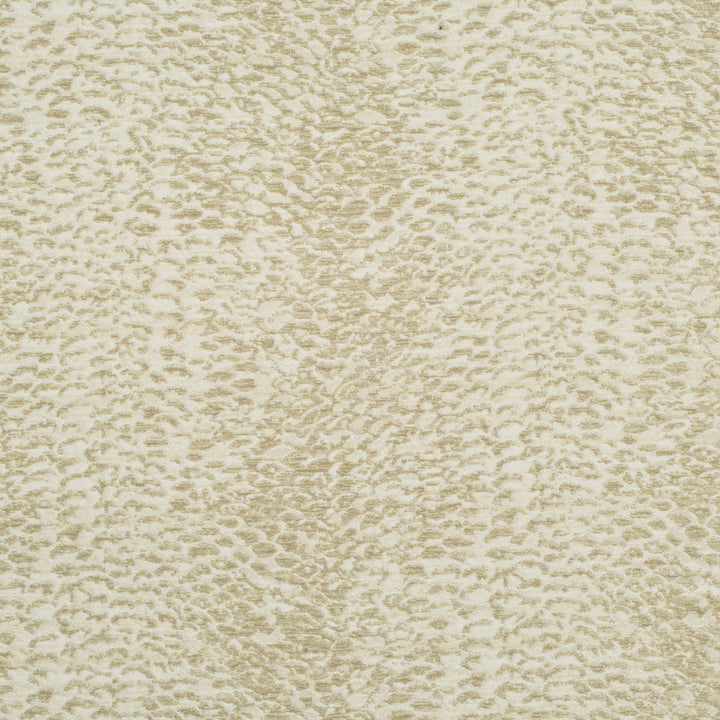 Wild Cream 6 by P Kaufmann Fabrics Fabric