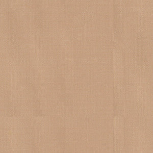 Sargent Silk Taffeta Buff 22680 by Schumacher Fabric