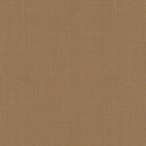 Sargent Silk Taffeta Chamois 22681 by Schumacher Fabric