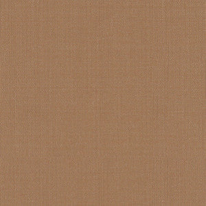Sargent Silk Taffeta Biscuit 22682 by Schumacher Fabric