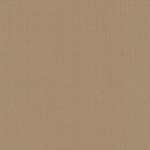 Sargent Silk Taffeta Dove 22683 by Schumacher Fabric
