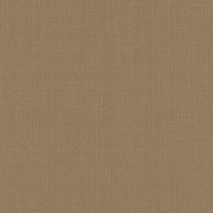 Sargent Silk Taffeta Mushroom 22684 by Schumacher Fabric