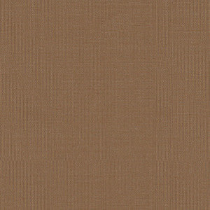 Sargent Silk Taffeta Barley 22686 by Schumacher Fabric