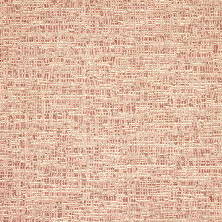 44408-0009 Grasscloth Blush by Sunbrella Fabric Sunbrella Upholstery Sunbrella Acrylic USA or Imported 5-Year Horizontal: and Vertical: 60 yd. 54 in. - Fabric Carolina -