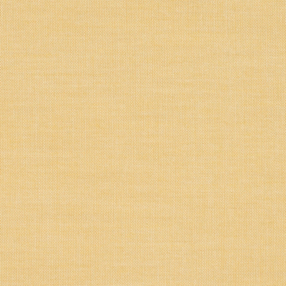 52001-0003 Mist Honey by Sunbrella Fabric Sunbrella Sheer Sunbrella Acrylic USA or Imported 5-Year Horizontal: and Vertical: 60 yd. 54 in. - Fabric Carolina -