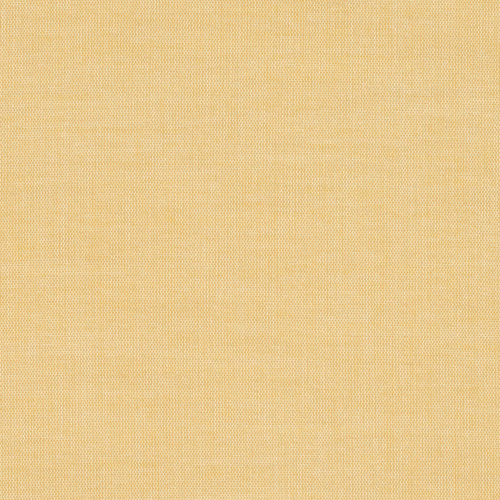 52001-0003 Mist Honey by Sunbrella Fabric Sunbrella Sheer Sunbrella Acrylic USA or Imported 5-Year Horizontal: and Vertical: 60 yd. 54 in. - Fabric Carolina -
