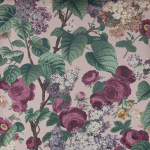 Floribunda (Wp) # 02 Blush by 1838 Wallcoverings Wallpaper