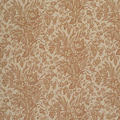 Abigail Toile Apricot by Kravet Couture Fabric
