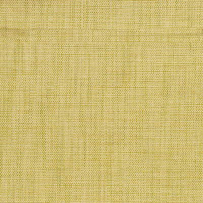 Terrain Aloe by Kravet Smart Fabric