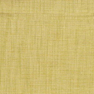 Terrain Aloe by Kravet Smart Fabric