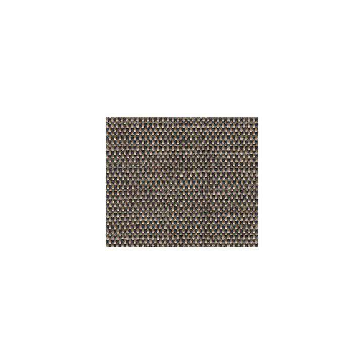 23846-50 by Kravet Smart Fabric - POLYESTER - 62%;COTTON - 38% United States HEAVY Horizontal: 0 and Vertical: 0 54 - Fabric Carolina -
