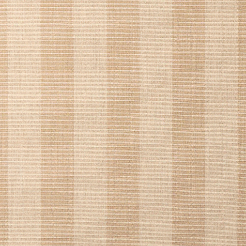 Expressive Sparrow 14121-0000 by Sunbrella Fabric 100% Sunbrella® Acrylic 95000 Horizontal: 3.48 in. and Vertical: 54 in. - Fabric Carolina -