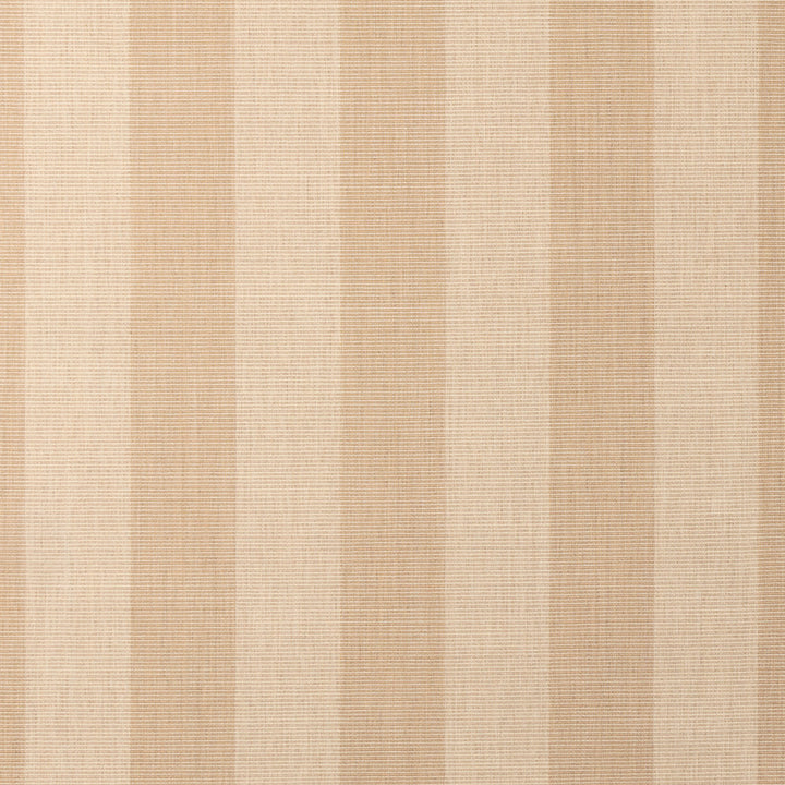 Expressive Sparrow 14121-0000 by Sunbrella Fabric 100% Sunbrella® Acrylic 95000 Horizontal: 3.48 in. and Vertical: 54 in. - Fabric Carolina -
