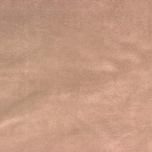 So Chic Desert by Kravet Smart Fabric