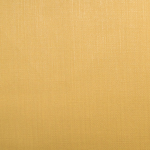 Pioneer - 23 by Europatex Fabric Pioneer 55% PVC, 40% Polyester, 5% Polyurethane China See Sample Horizontal: N/A and Vertical: N/A 55.00 inches  - Fabric Carolina -