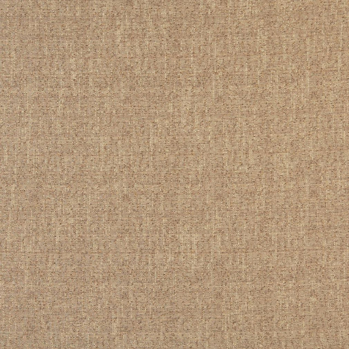 2407 Pecan by Charlotte Fabric Ring Book Page #86 66% Cotton, 34% Polyester Taiwan Exceeds 50,000 Wyzenbeek Rubs (Heavy Duty) No Repeat 54 Inches - Fabric Carolina -