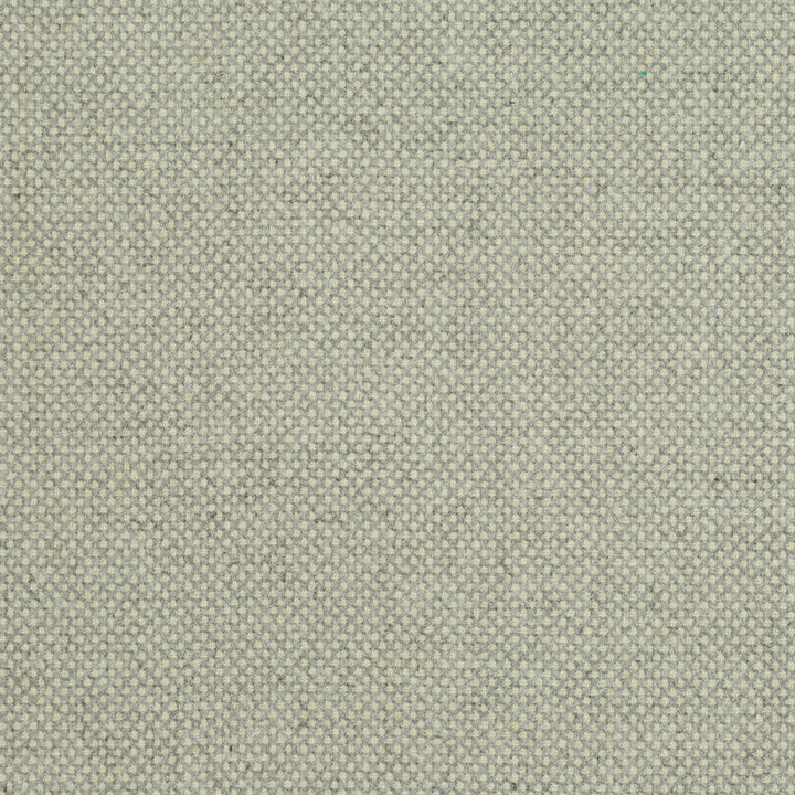 Oswald Flannel 927 by P Kaufmann Fabrics Fabric