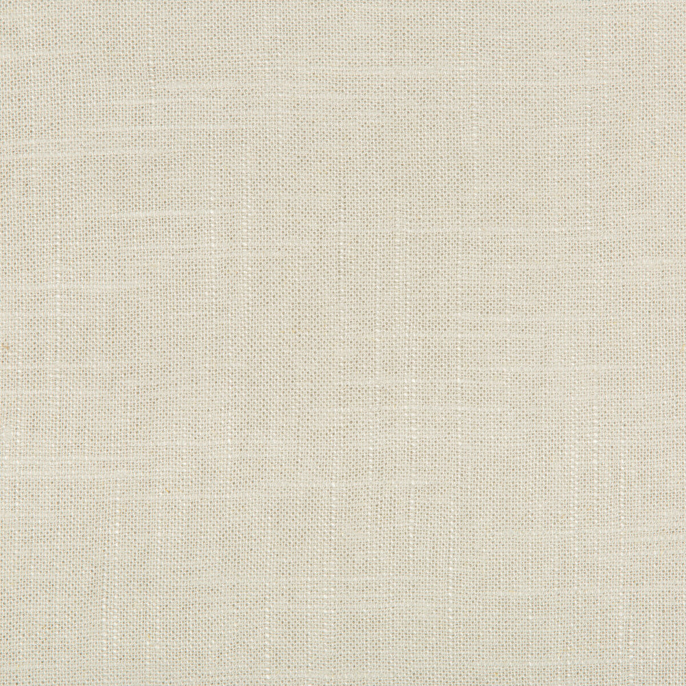 24573-1600 by Kravet Basics Fabric LINEN - 55%;VISCOSE - 45% China MEDIUM Horizontal: 0 and Vertical: 0 55 - Fabric Carolina -