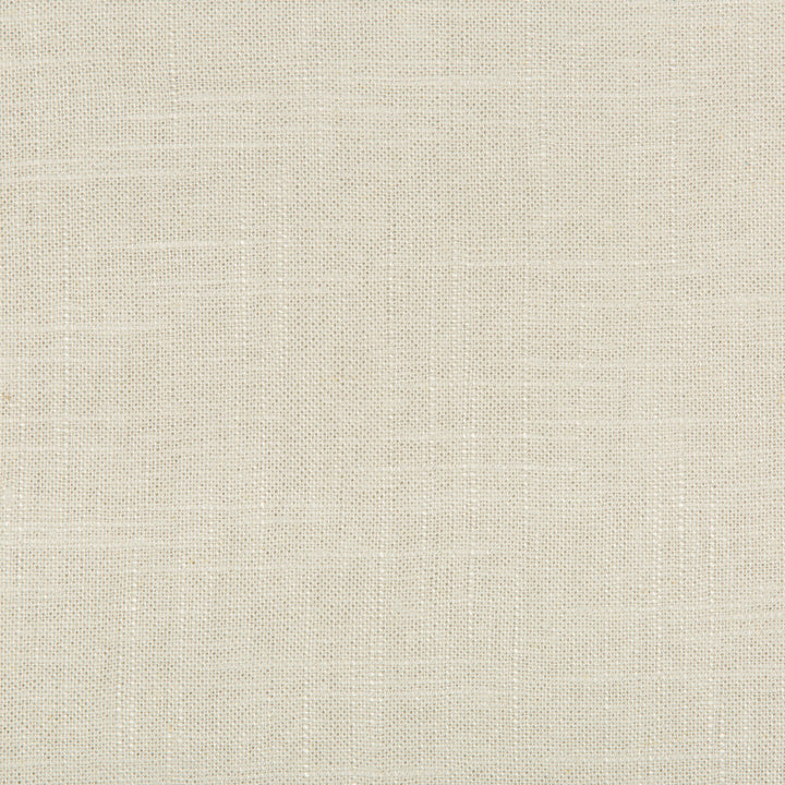 24573-1600 by Kravet Basics Fabric LINEN - 55%;VISCOSE - 45% China MEDIUM Horizontal: 0 and Vertical: 0 55 - Fabric Carolina -